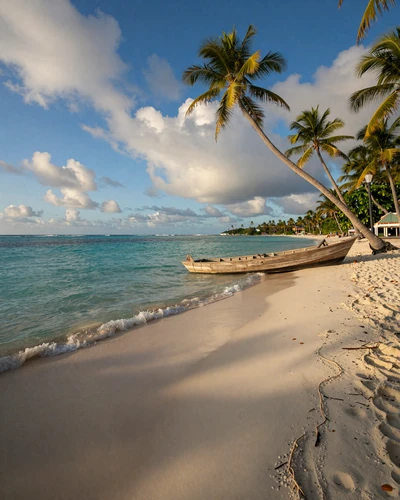 Stunning Caribbean beach in the Dominican Republic with turquoise water palm trees and white sand